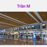 Báo Giá thi Công Trần Nhôm m-140-shaped